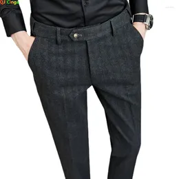 Men's Suits Autumn And Winter Vertical Striped Suit Pants Business Casual Tweed Thick Trousers Pantalones Hombre 29-36