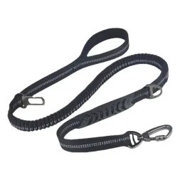 leashes dog rope rope مرنة الجري الحزام متين تدريب الكلب الكبير على الركض سيارة مرنة للاشمئزازات الكلب المتوسطة كبيرة الكلب