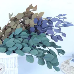 Decorative Flowers Real Nature Preserved Eucalyptus Branch DIY Eternell Dried Flower Garland Home Decor Wedding Decoration Apple Leaf