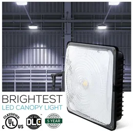 Warranty 5 Years 40W 60W 80W Led Floodlights For Warehouse Workshop Hall Lobby IP65 Outdoor Led Canopy Lights AC 85277V2257198