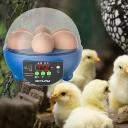 Tillbehör Mini Egg Inkubator Automatisk Hatching Broder Farm Bird Quail Chicken Poultry Farm Hatcher med lätt kyckling Hatcher USB