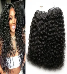 امتدادات الشعر البشري حلقة صغيرة 1G مجعد 200g 1gs 200s kinky curly micro loop extensions 6186638