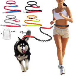 Leashes Dog Leash Free Hands Supplies Elastic Nylon Leash for Running and Walking Dog Accessories Retractable Dog Leash