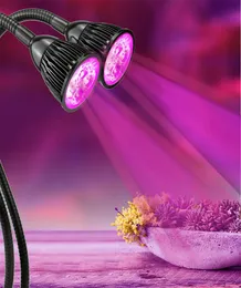 Brelong LED Grow Light Double Head 10W LED Fitolampy ile Çift Onoff Klipsli Fitolampy Çiçek tohumu için kapalı ekim lambası