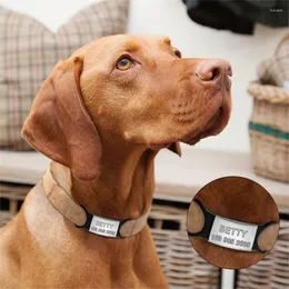 Dog Tag Personalized Collar Silicone Slide On Blank Stainless Steel Pet ID Tags Card For With Custom Laser Logo