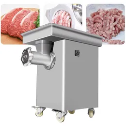 110V 220V 다기능 전기 고기 분쇄기 소시지 기계 Mincer Meat Grinder