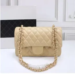 Designer Handbag Shoulder Chain Bag Clutch Flap Totes Bags Wallet Check Velour Thread Purse Double Letters Solid Hasp Waist Square1294009