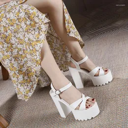 Sandals 16cm 14cm 12cm 10cm Chunky High Heel Platform Sexy Women Summer Open Toe Black White
