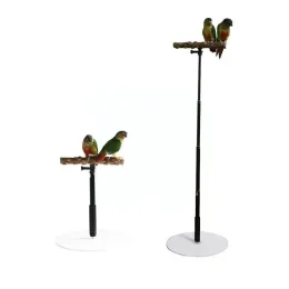 Perches Adjustable Height Parrot Perch T Stand Parrot Training Play Stand Platform Portable Cage Bird Perch Standing For Finch Para X9H7