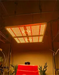 フルスペクトルSamsung LED Grow Light 1000W2000W4000W LM301B 234PCS 3000KチップスおよびUL Meanwell Driver Indoor Planting6987936