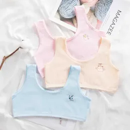 Camisole Cotton Girls Cute Bra Tank Tops Wygodne dojrzewanie dziewcząt stanik studenci oddychające bieliznę