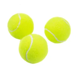 Çocuklar İçin Tenis Topları Yetişkinler Eğitim Egzersiz Yeni Başlayanlar 240513