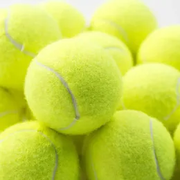 3PCS High Elasticity Tennis Professional Training Game Ball Outdoor Dogs Bite and Chomp 6m 240513