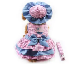 armipet Lattice Dog Dresses Fashion Princess Dress For Dogs 6071079 Pet Clothing Supplies Dress Hat Panties Leash 1 set305I9439237