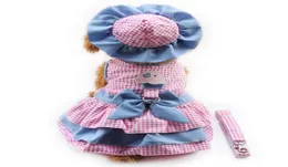 Armipet Lattice Dog Dresses Fashion Princess Dress for Dogs 6071079 애완 동물 의류 용품 드레스 모자 팬티 Leash 1 Set305i8818617