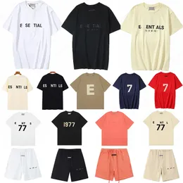 デザイナーTシャツESS 1977 Brand Essentiallstシャツ夏のカジュアルシャツメンズクイックドライベアーブルショートスリーブ豪華なEssentiallshorts Womens EssentialSclothing