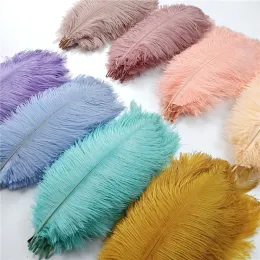 Colored Ostrich Feathers for Crafts Wedding Decoration Handicraft Accessories Table Centerpieces Carnival Plumas Decoration 30-35cm