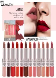 TEAYASON 1 PC DoubleHead Matte Lip gloss Long Lasting Waterproof Liquid lipstick not pick the skin color perfect lips8700266