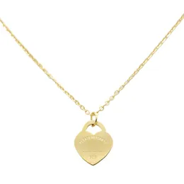 Edelstahl Liebe Herzdesigner Halskette für Frauen Mädchen schöne 18k Gold Silber Herzen Anhänger Natur Have Sailoroon Kurzketten Halsketten Juwely Geschenk