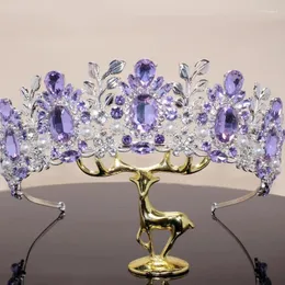 Haarclips Luxus Brautschmuck lilapink Baroquecrawn und Tiaras Stirnband Forwomen Hochzeitsfeier Diadem Purple Halskette Se