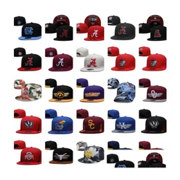 Snapbacks New America College Hats Hurricanes Crimson Gator Carolina Clemson Rattlers Hawkeyes Jayhawks Virginia Snapback Football Bas otjxu