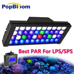 Aquarium Led Lighting for Video Recording: Capture Stunning Footage
