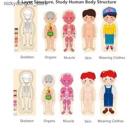 Rompecabezas De Cuerpo Humano De Madera Para Niños Pequeños