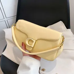 Designer Tabby Sunshade Handtasche Damen Schaffell warm und süß voller Begeisterung 2023 Neueste Modeholken Tiger Wolkentasche