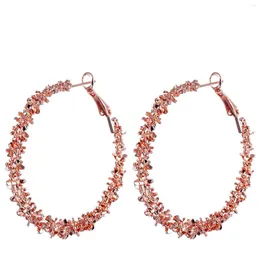 Dangle Earrings Women's Thin Alloy Wreath-Like Decor Ear Drop Jewelry