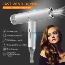 Electric Hair Dryer 1000W Professional Hair Dryer Infrared Negative Ionic Blow Dryer Hot Cold Wind Salon Hair Styler Tool Hair Electric Drier Blower HKD230902