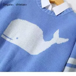 Mens Blue Whale Sweater: Loose Casual Soft Couple Top, Korean - Main Image