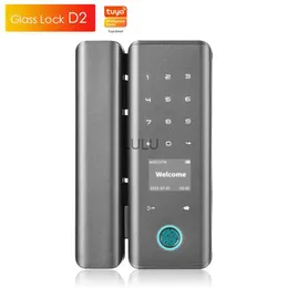 Dörrlås Biometriskt fingeravtryck Electronic Digital Lock Keyless Entry Smart Lock för glas Dörrdörrlås HKD230902