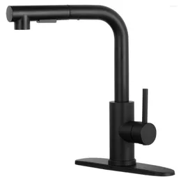 Kitchen Faucets Accipiter Black Pull Out Sink Faucet Stainless Steel Deck Mount And Cold Water Mixer Two Model Stream Sprayer Nozzle