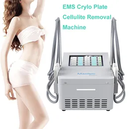 Bästa professionella EMS Cyro Cryoliposis Machine Freeze Fats EMS Body Slant Machine Portable för hemsalong Användning