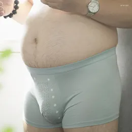 Underpants Men's Underwear Boxer Male Sexy Lingerie Chubby Bear Large Size Novelty & Special Use U-shaped Solid Color