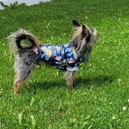 Köpek giyim evcil hayvan gömlek küçük ve orta köpekler Hawaii sıradan stil hafif ve nefes alabilen dört mevsim moda köpek kıyafetleri kıyafet x0904