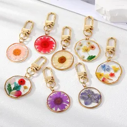 Charms YDL Natural Daisy Mried Flowers Keychains 친구를위한 키 링 선물 진짜 꽃 잎 식물 가방 자동차 에어 포드 박스 키 액세서리