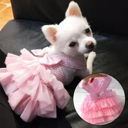 Abbigliamento per cani Abito estivo per cani Gonna in pizzo per gatti Abbigliamento per animali Gonna a righe per chihuahua Cucciolo Gatto Abbigliamento per principessa Cucciolo carino Vesti Accessori per cani 230901