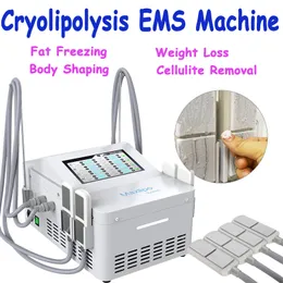 Máquina de emagrecimento para perda de peso Cryo Fat Freeze Cryolipolysis Queimadura de gordura Contorno corporal EMS