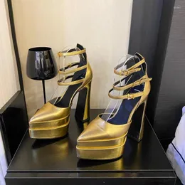 Kleidschuhe Extreme High Heels Pumps Frauen Echtes Leder Wasserdichte Plattform Spitz Damen Weibliche Sexy Knöchelriemen Schuhe