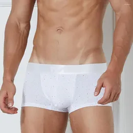 Underpants Mens Underwear Teenage Breathable Young Boys Cotton Boxer Briefs Shorts Panties Bulge Pouch Boxershorts Men