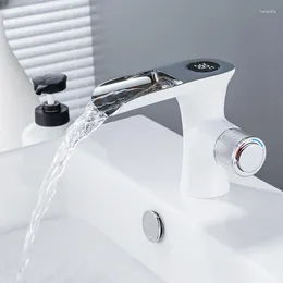 I rubinetti della cucina visualizzano il rubinetto del lavabo a temperatura costante freddo e il lavandino a cascata del bagno creativo