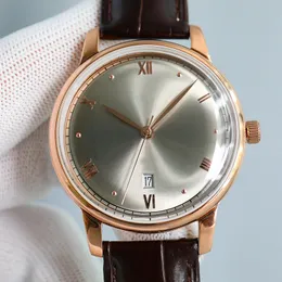 Mens Watch Mechanical Otomatik 9015 Hareket Saatleri 42mm Sapphire Business Wristwatch Su geçirmez 100m Montre De Luxe