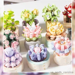 Blocchi Fai da te Succulente Idee Fiori Bouquet Building Blocks Romantico fiore di rosa Decorazione della casa Giocattoli per ragazza R230907