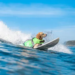 Köpek giyim yansıtıcı can yeleği spor güvenlik kurtarma yelek kıyafetleri ayarlanabilir yelekler yavru şamandıra yüzme elbise tüm evcil köpekler için 230906