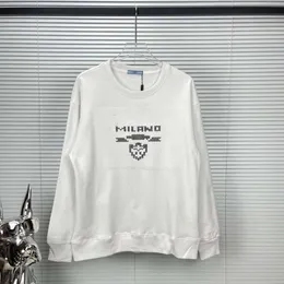 Moda baskı kazakları erkek kadınlar uzun kollu tişört pra tasarımcısı kazak yuvarlak boyun kapşonlu erkekler gündelik sweatshirt pamuk kazak 4xl 5xl