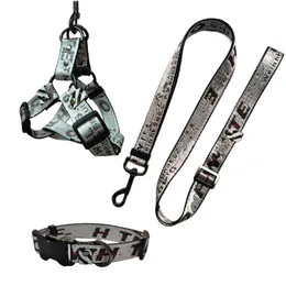 Dog Collars Leashes Cool Letter Pattern Designer Dog Collar Leash Harness Leashes Set Adjustable Heavy Duty No Pl Halter Harnesses B Otfze