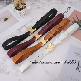 2023 Luxury Belt Celine Designer Belts For Women Mens Genuine Leather Belts Men Casual Belt Womens Girdle Waistband Cintura Ceinture width 2.5cm