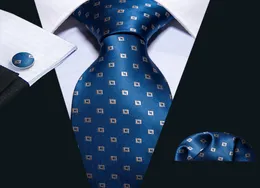 Hitie Popular Blue Plaid Necktiesセット100シルク85cmの幅85cm男性シャツフォーマルビジネスN50546566161
