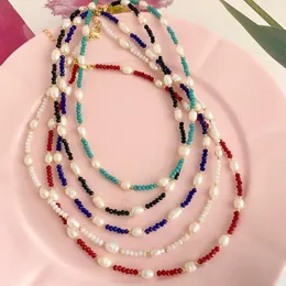 Choker 5pcs in Crystal Freshwater Pearls 여성용 골드 체인 목걸이 여름 패션 Boho Chic Party Holiday Gift